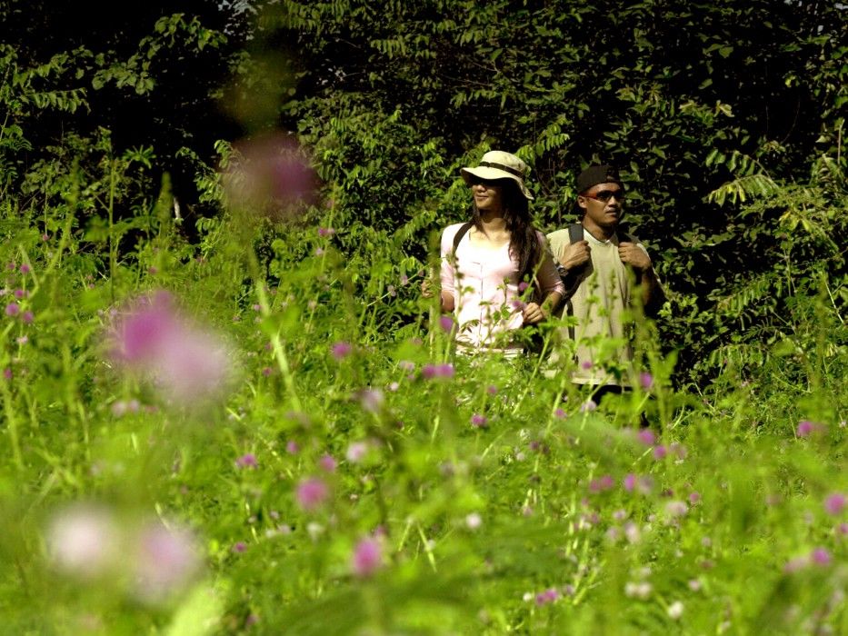 מלון Banyuwedang The Menjangan By Lifestyleretreats מראה חיצוני תמונה