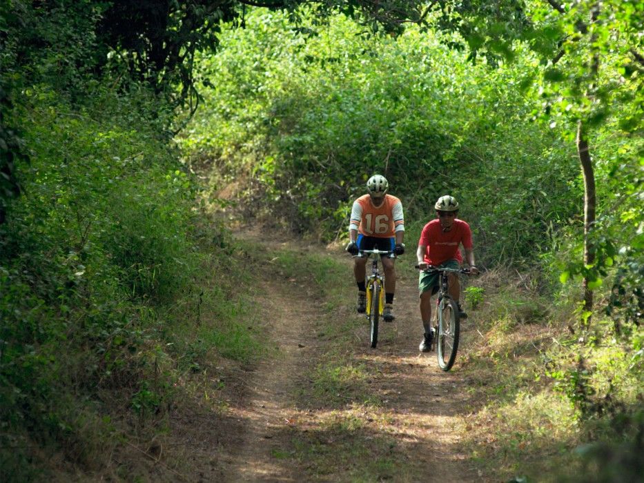 מלון Banyuwedang The Menjangan By Lifestyleretreats מראה חיצוני תמונה